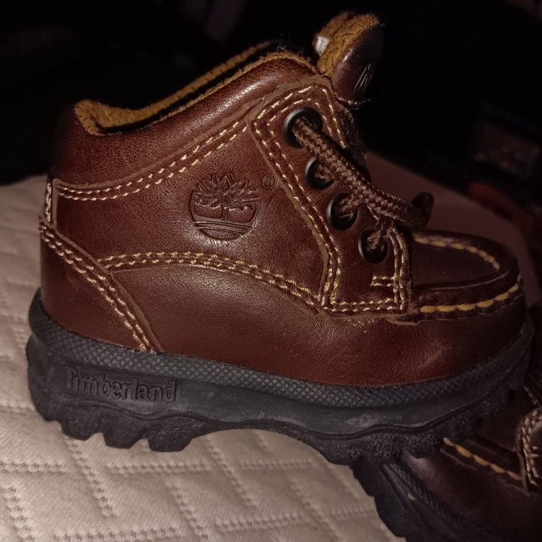 5m Timberland