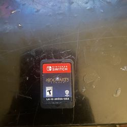 Hogwarts Legacy (switch/switch 2) Version 