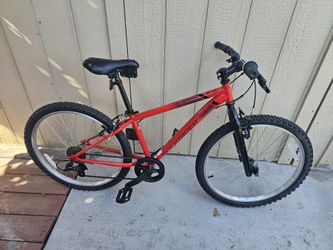 Adult Bike