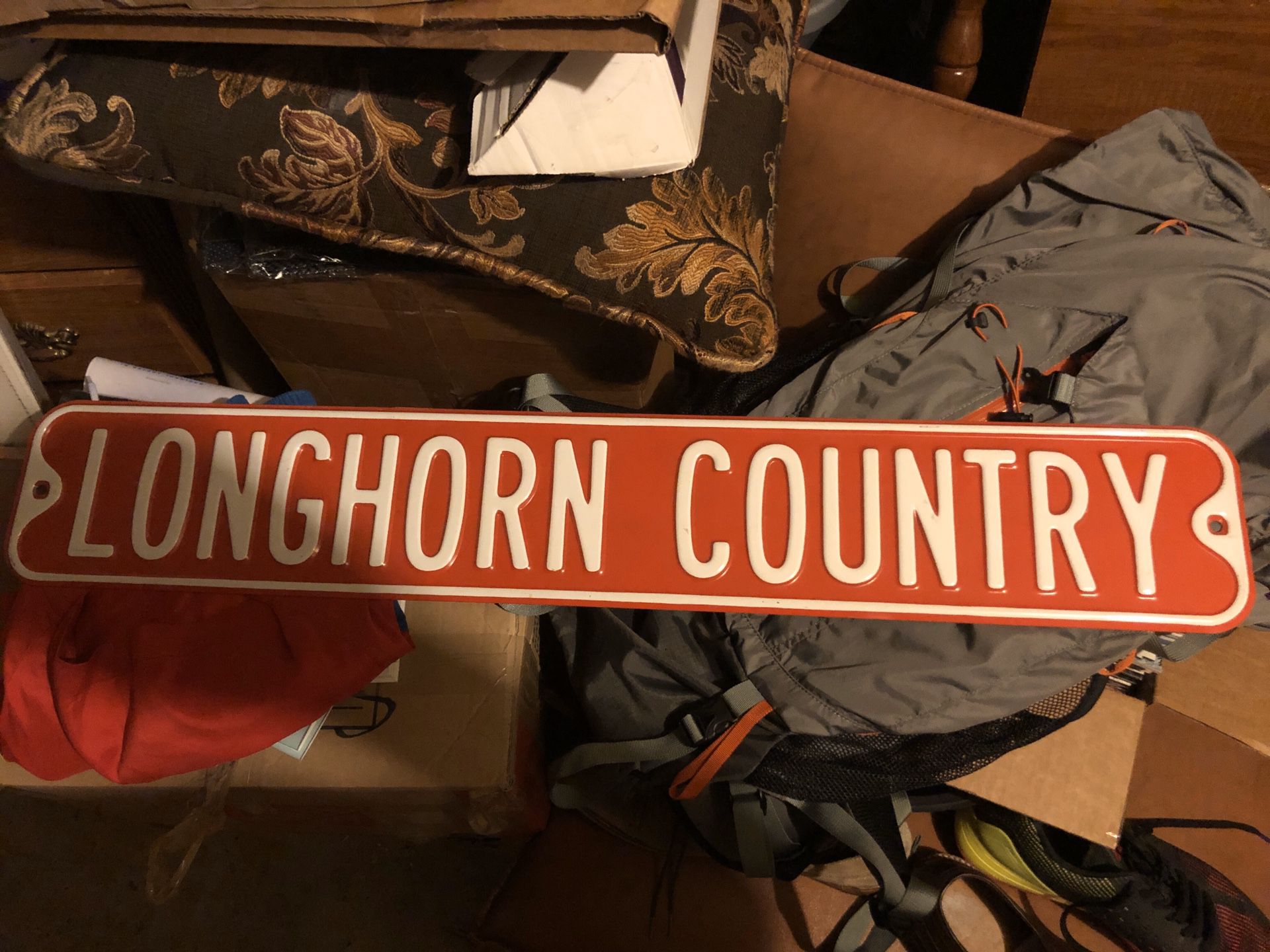 Texas Longhorn Sign