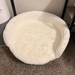 Pet Bed /couch