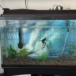 50 Gallon Fish tank And Stand
