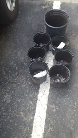 flower pot
