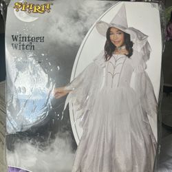 Halloween Wintery Witch 🧙 