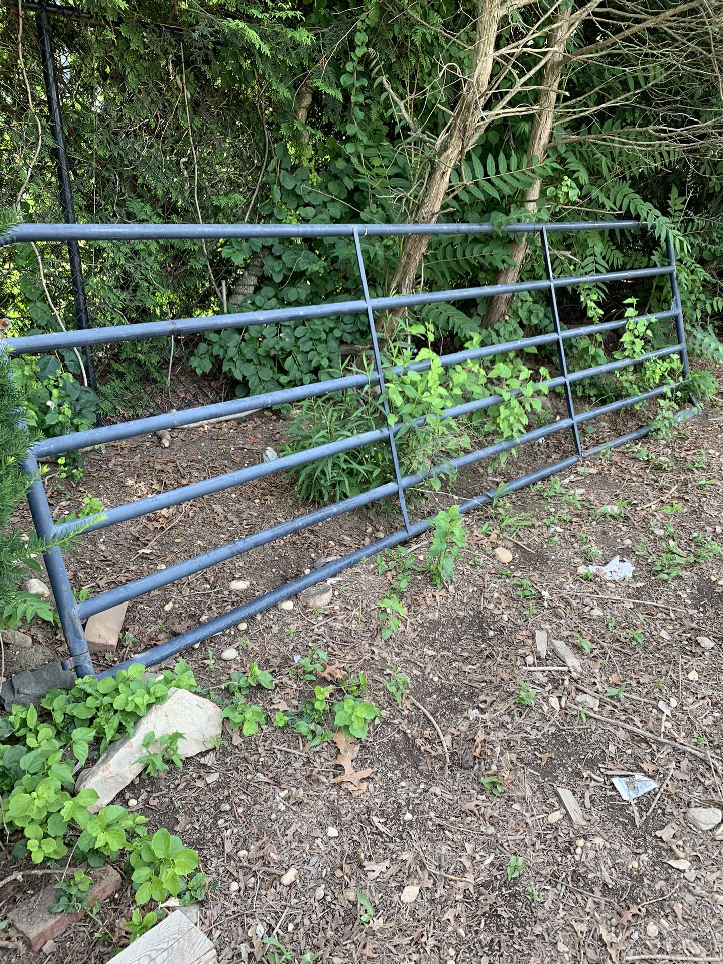 Metal Gate