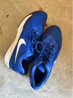 Nike Shoes Size 16