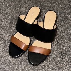 Women’s Coach Willa Saddle Sandal Heels