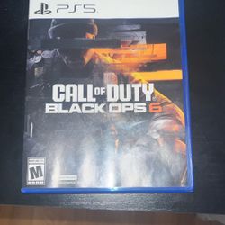Call Of Duty Black Ops 6