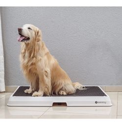 Brand New In Box Never Opened Pet 