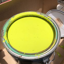 BEHR Premium Plus Ultra Paint (1 Gallon) – Green Neon