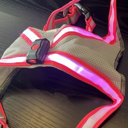 LED Dog Harness
