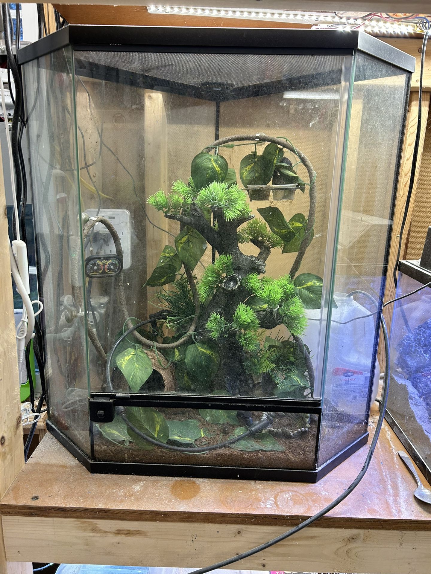 corner front opening terrarium with decorations