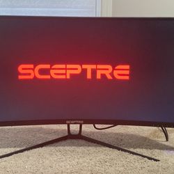 Curved Computer/Gaming Monitor