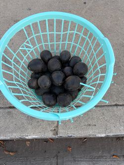 FREE AVOCADOS YUMMY