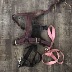 Harness For Large Dog 