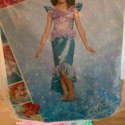 Halloween Disney Ariel Costume And Wig