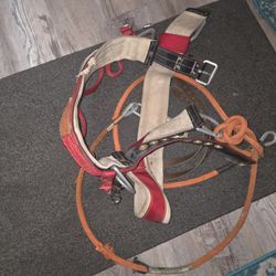 Weaver Tree Harness Belt