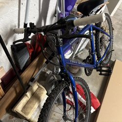 Bike Not Sure The Size Tires Need Air 