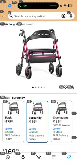 Homeland Burgundy Rollator