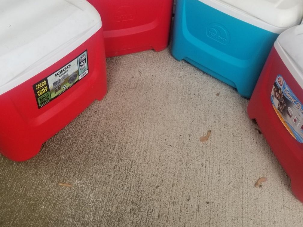4. Igloo. Coolers $20 Each