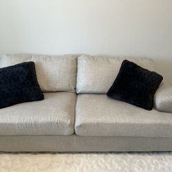 Modern Gray Couch