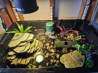 TURTLE  AQUARIUM