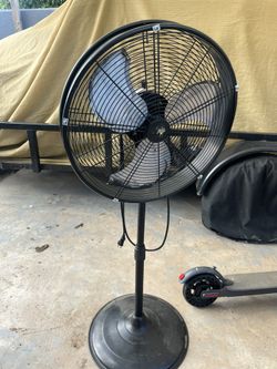 Fan