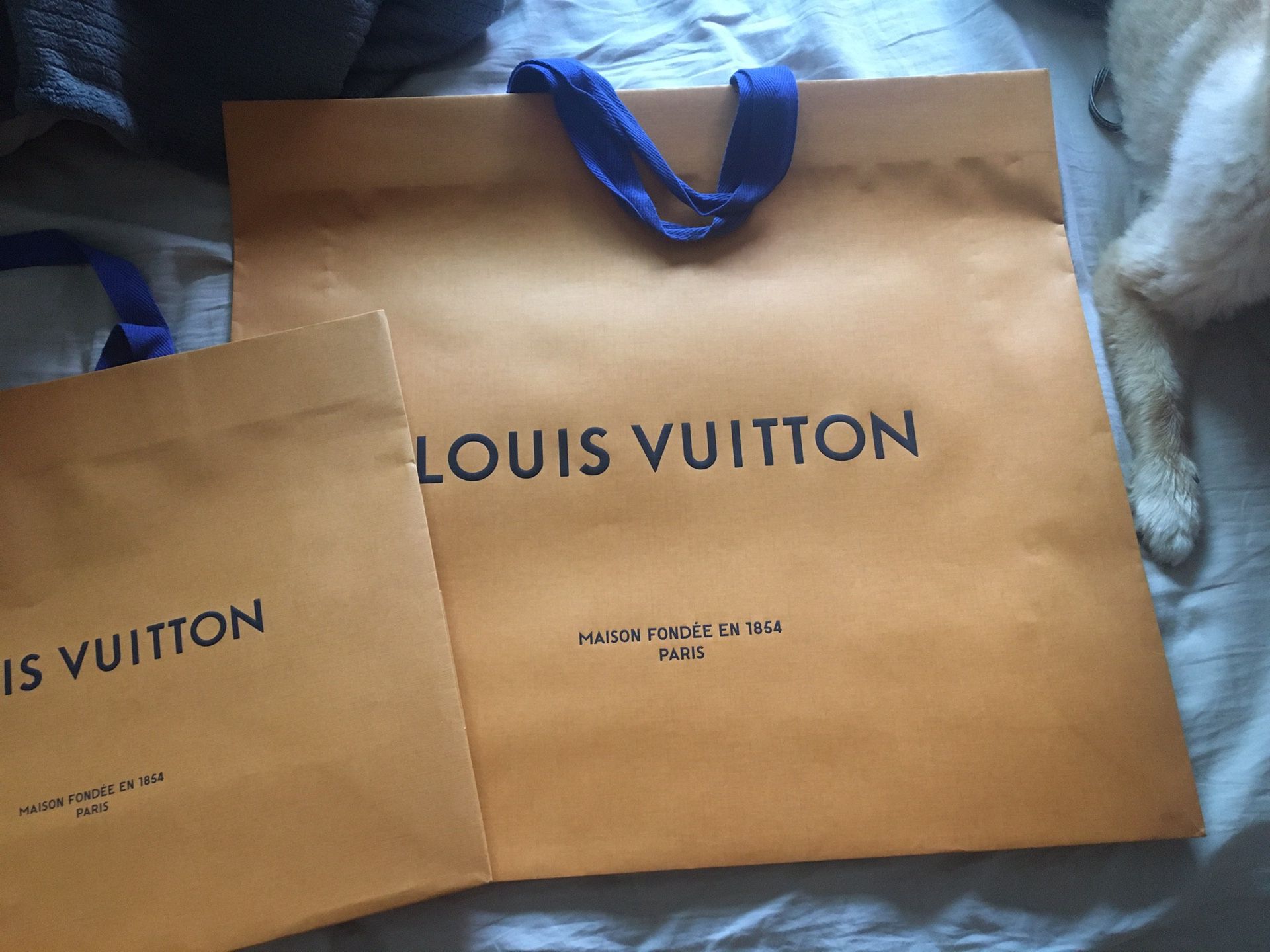 Louis Vuitton Box and Shopping bag for Sale in Monterey Park, CA - OfferUp