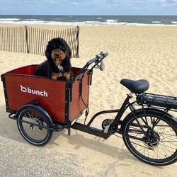 Bunch Bike Electric bike 
