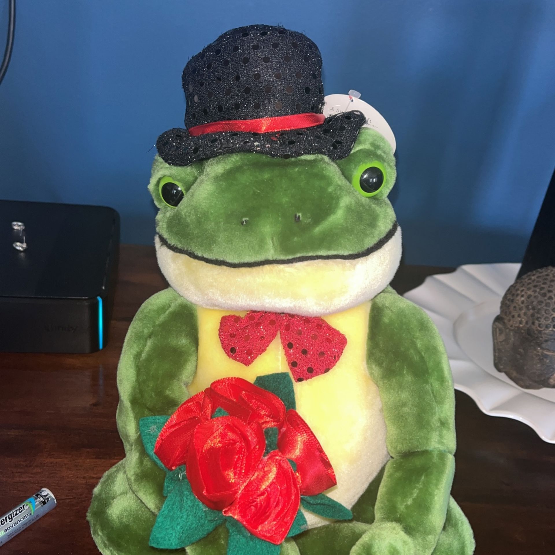 Singing Frog Plush