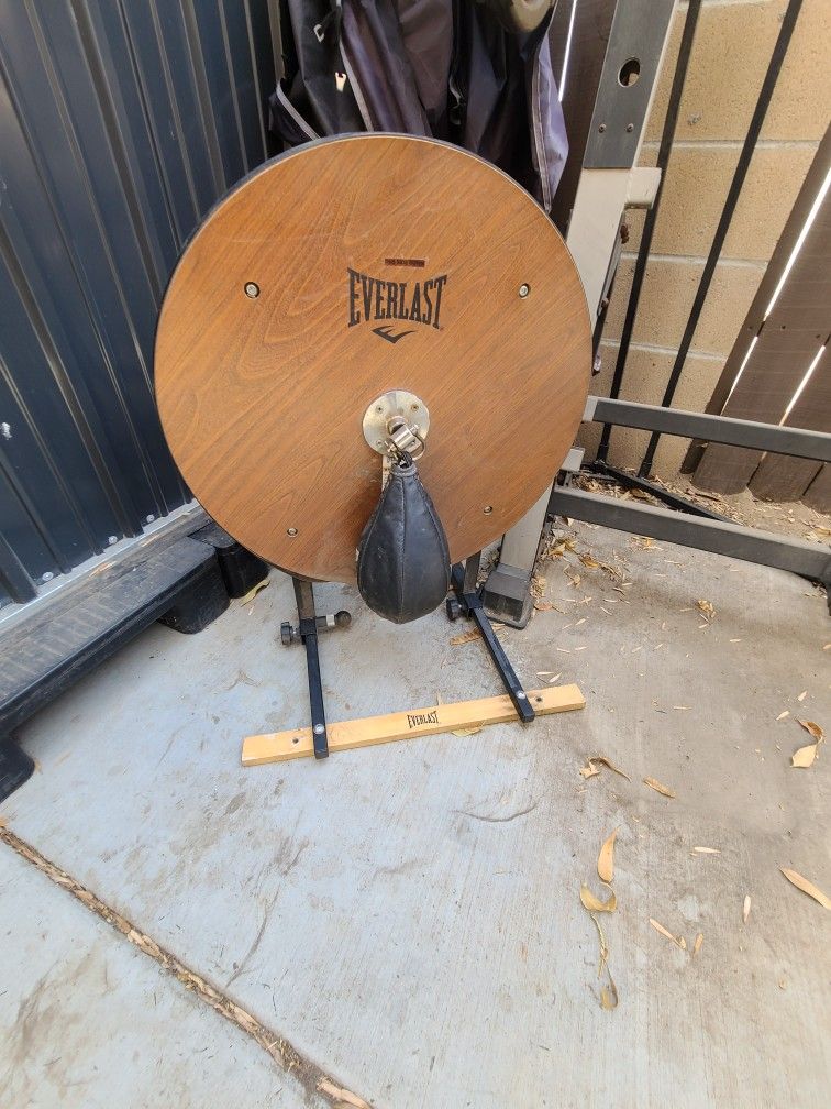 Punching Bag And Speed Bag