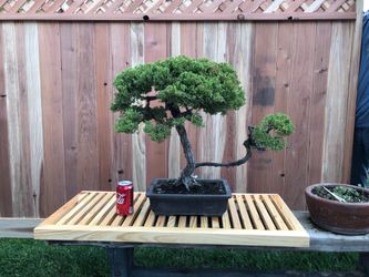 Handmade Solid Pine Bonsai Display Stands – Multiple Sizes Available