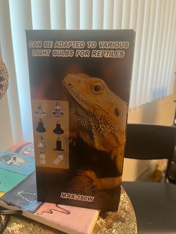 Reptile heat lamp