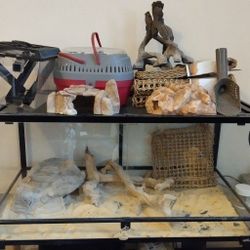 Lizard Tank & Accessories 
