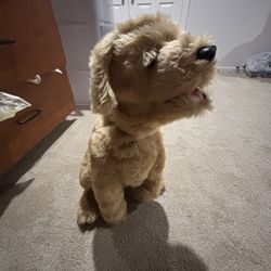 Dog Automatic Toy ( For Little Kids Btw) 