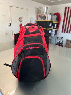Softball bag