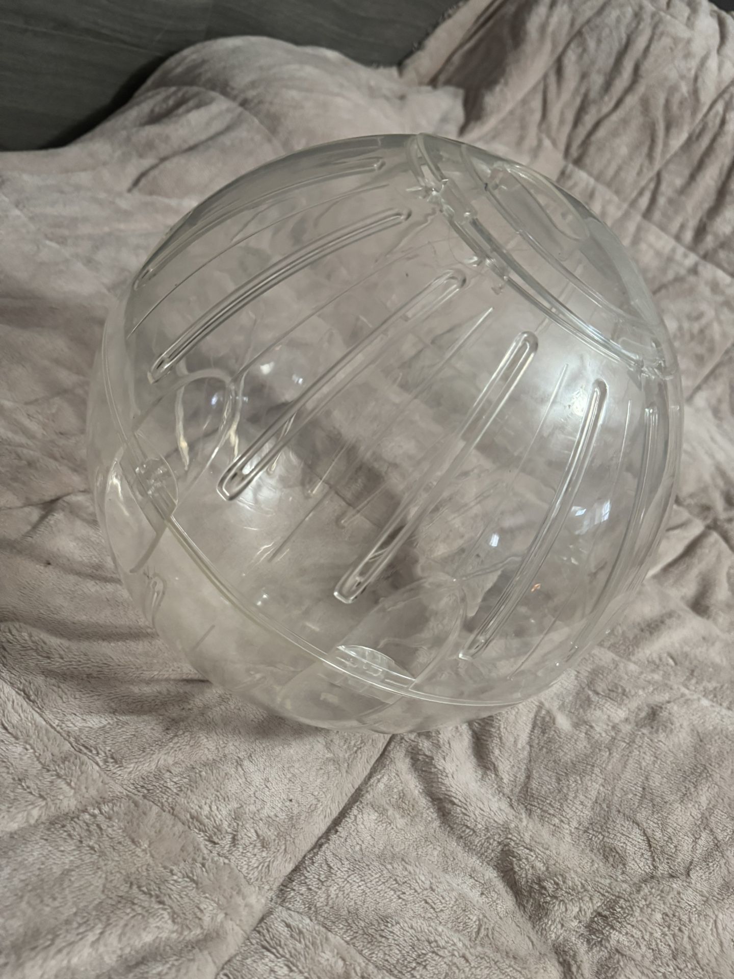 Giant Hamster Ball