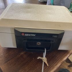 Sentry Safe 1100