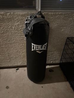 Everlast Punching Bag