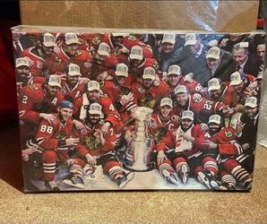 Chicago Blackhawks 2015 Stanley Cup Team Canvas
