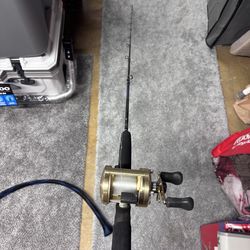 6’6” tsunami tournament rod with Shimano Calcutta real