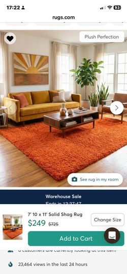 Vibrant 8 x 10 Orange Area Rug -add instant color!
