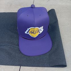 Lakers Pet Decor