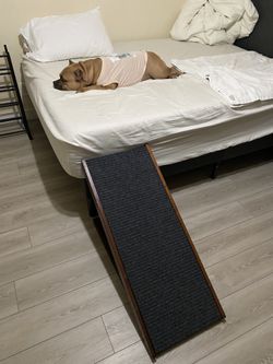 Dog ramps
