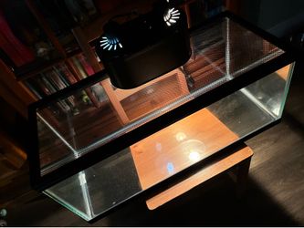 Reptile tank