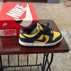 Kids Nike’s Dunks 4.5 Lightly Used Basketball Shoes 4.5 New 