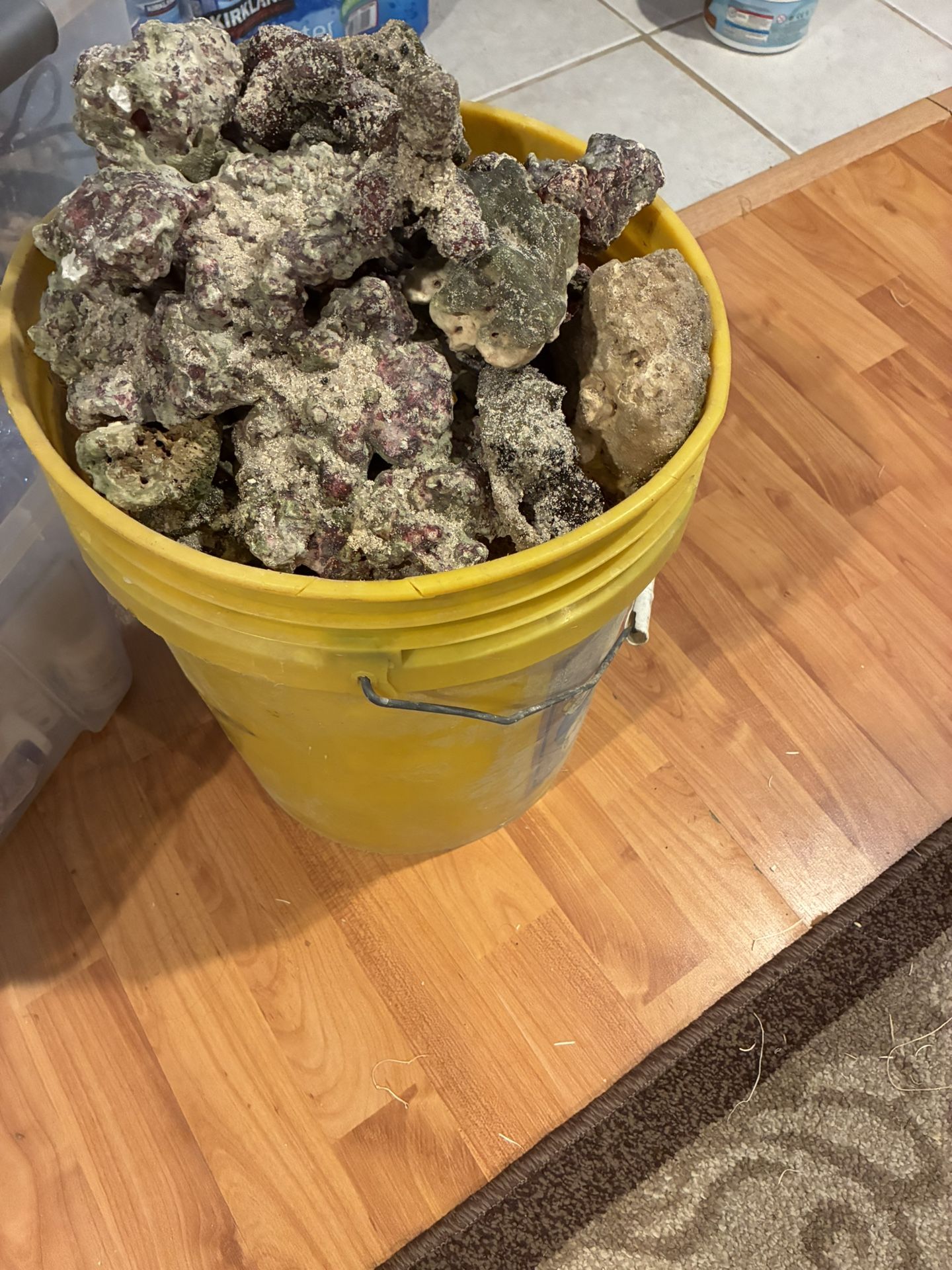 Bucket Of Saltwater Rocks