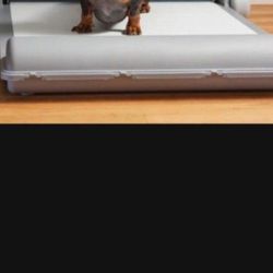 Brilliant Pad Puppy Pad