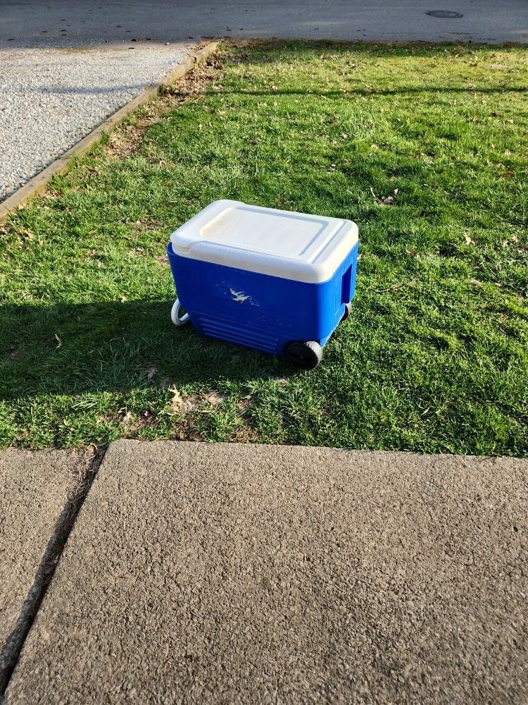 Igloo 38-Quart Hard Ice Chest Cooler with Wheels, Blue