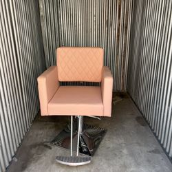 Salon Chair